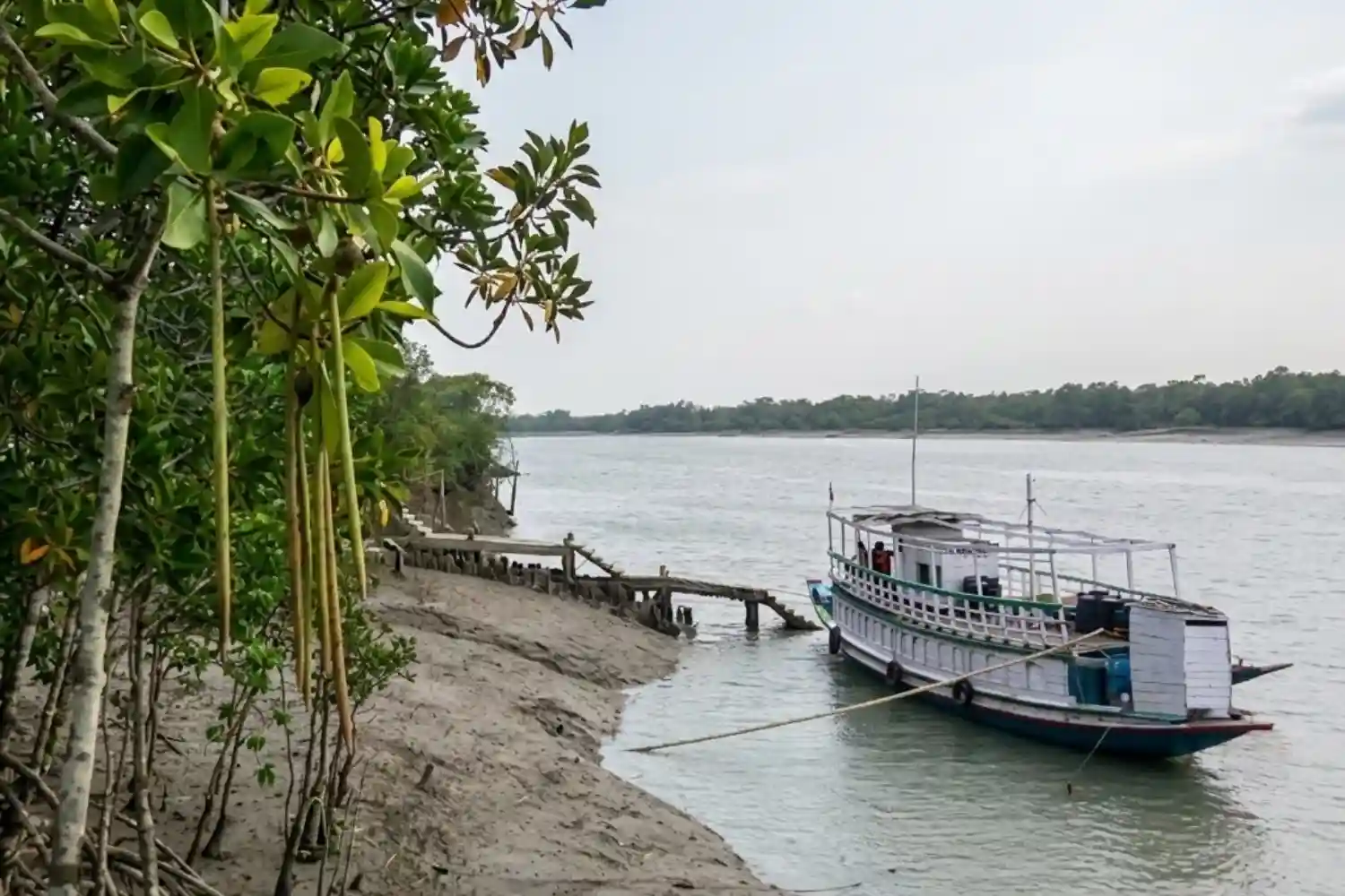 Boat Safari of Sundarban with TS Tour and Travels