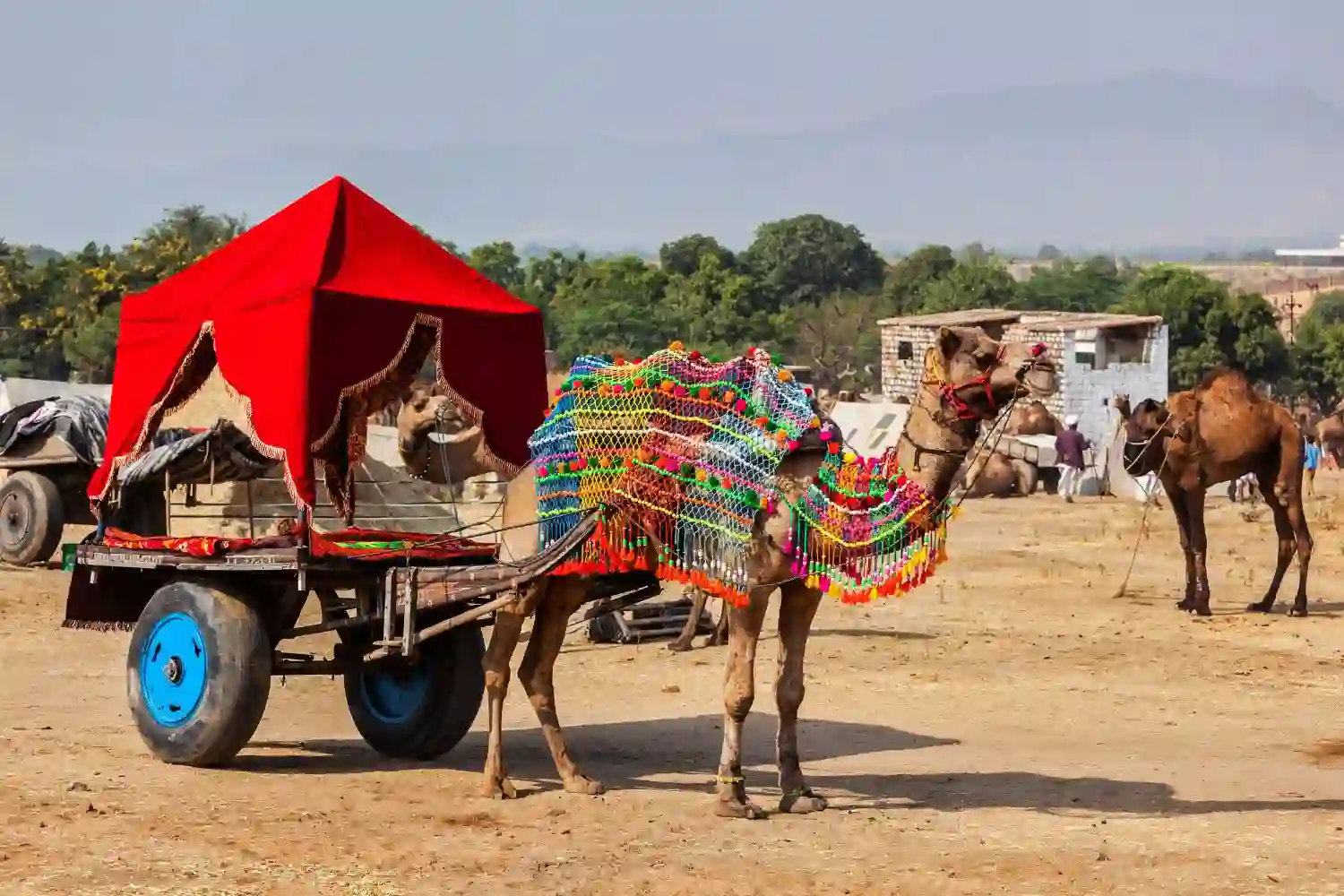 Pushkar in rajasthan