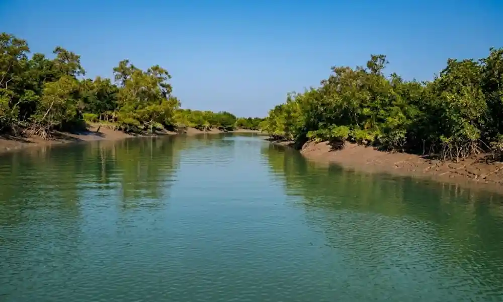 Bonobibi Bharani forest area in Sundarban