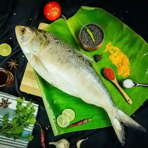 Fresh River Hilsa served during Sundarban Hilsa Festival Tour