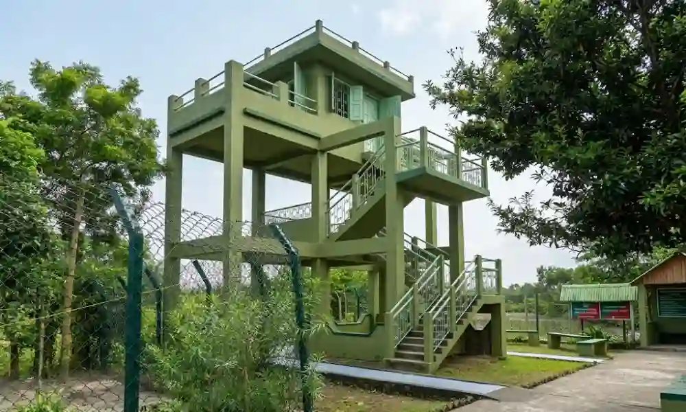 Sudhanyakhali Watch Tower wildlife viewing point